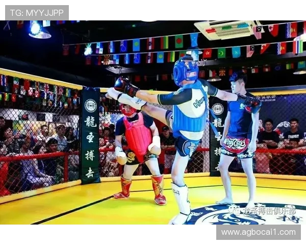 2026年浙江省散打比赛精彩回顾与选手表现分析